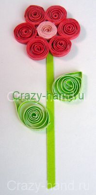 quilled5